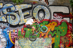 search engine optimization