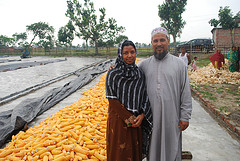 Loans